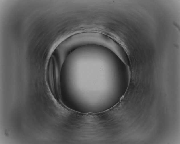 X0000091901520200709121449