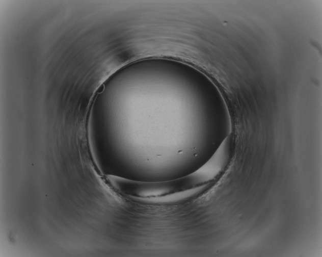 X0000091901521200709121449