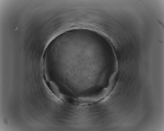 X0000091901522200709121449