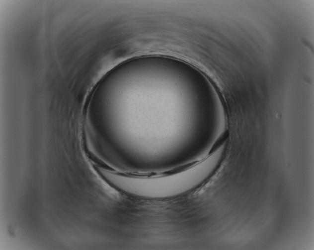 X0000091901525200709121449