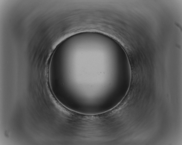 X0000091901526200709121449