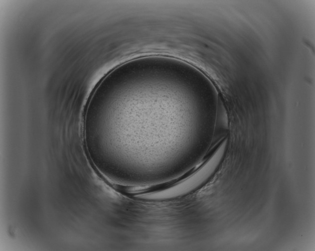 X0000091901527200709121449