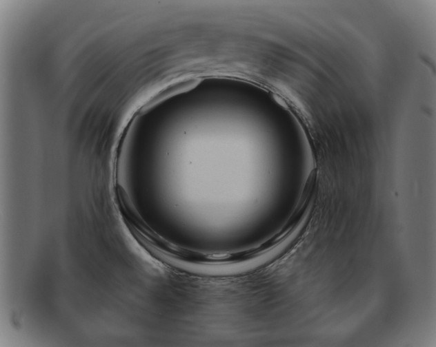 X0000091901528200709121449