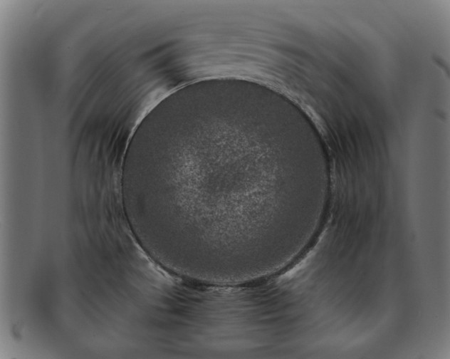 X0000091901529200709121449