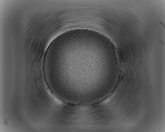 X0000091901530200709121449