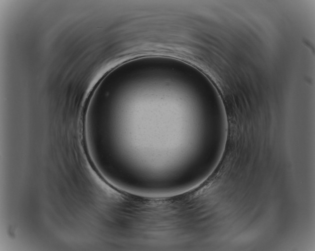 X0000091901531200709121449