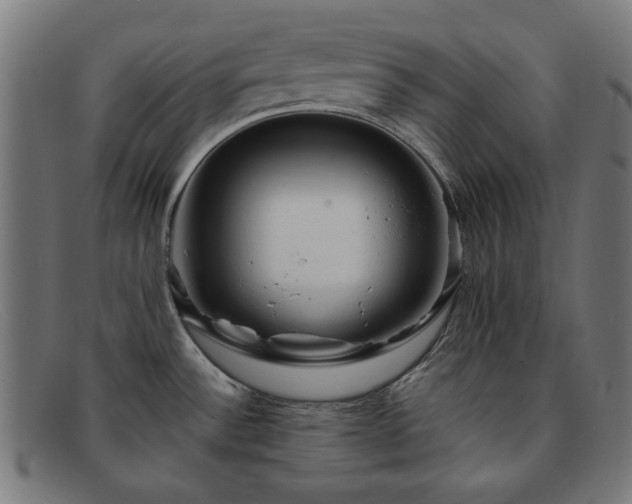 X0000091901532200709121449