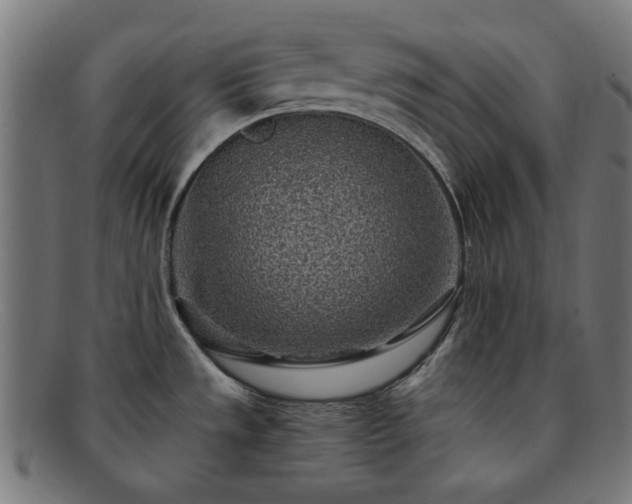 X0000091901533200709121449