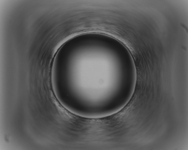 X0000091901534200709121449