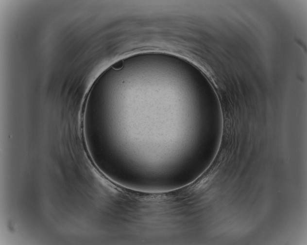 X0000091901535200709121449