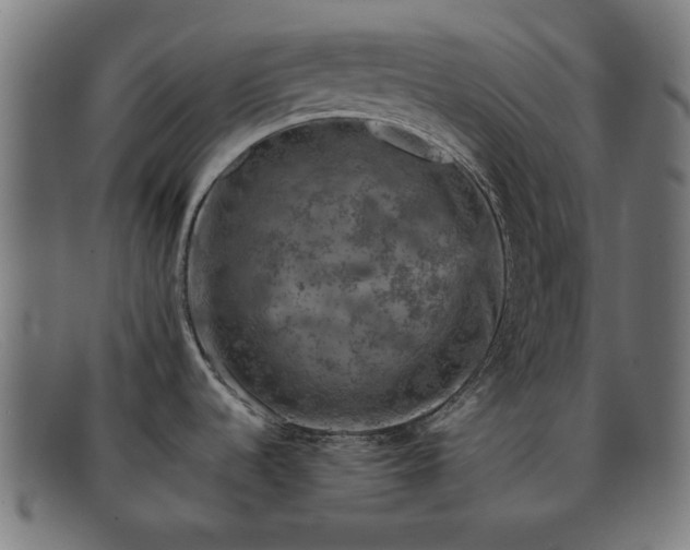 X0000091901536200709121449