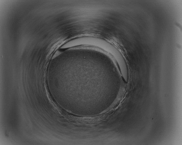 X0000091900001200709191246