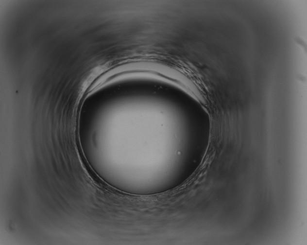 X0000091900003200709191246