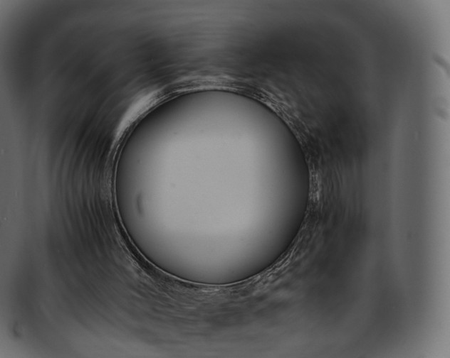 X0000091900004200709191246