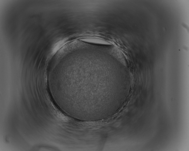 X0000091900005200709191246