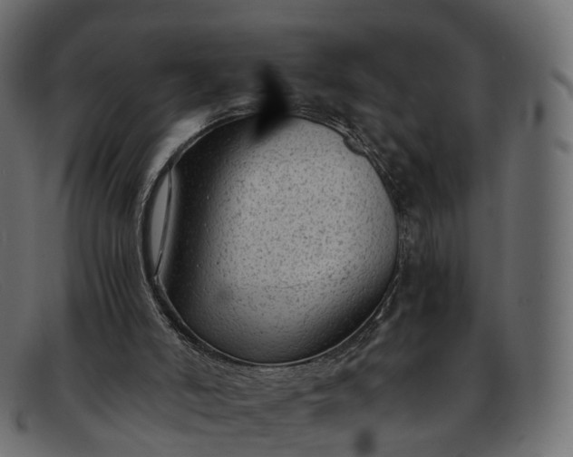 X0000091900006200709191246