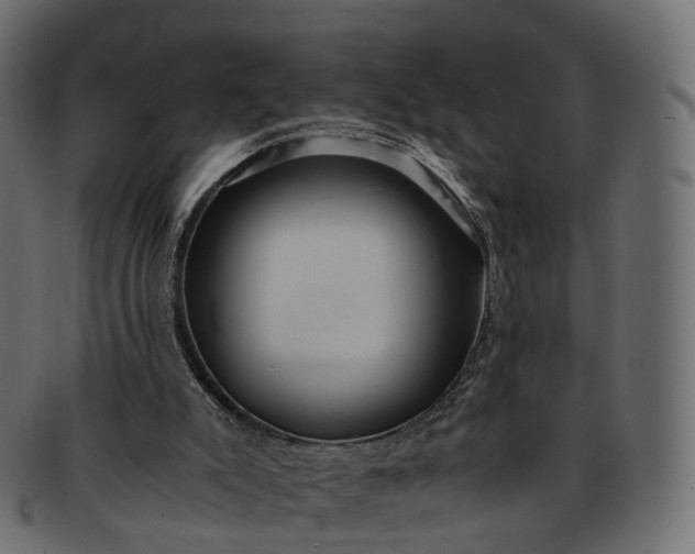 X0000091900007200709191246