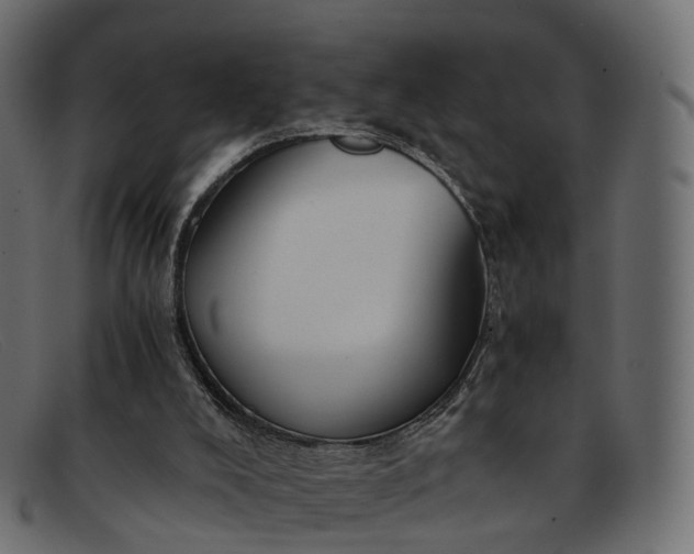 X0000091900008200709191246