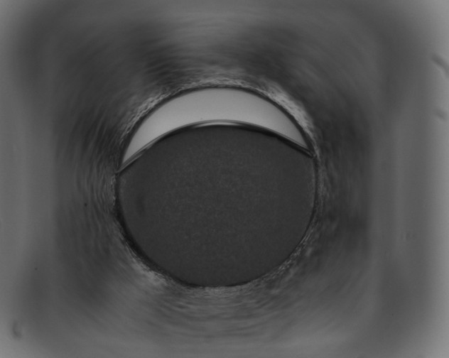 X0000091900009200709191246