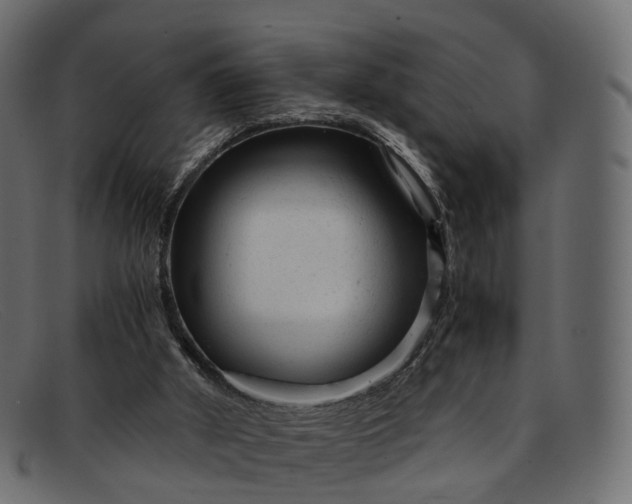 X0000091900010200709191246