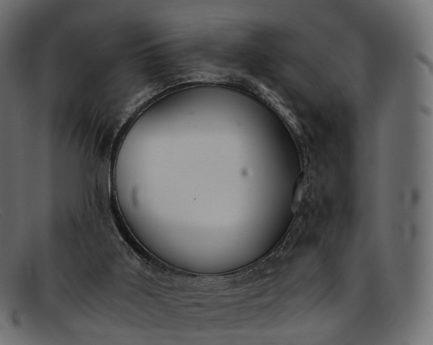 X0000091900011200709191246