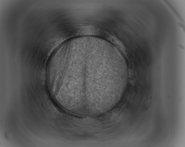 X0000091900012200709191246