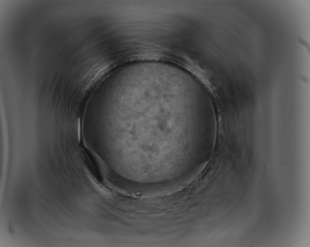 X0000091900013200709191246