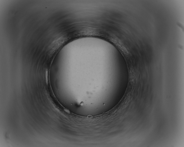 X0000091900014200709191246