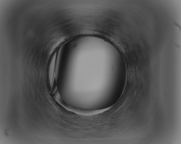 X0000091900015200709191246