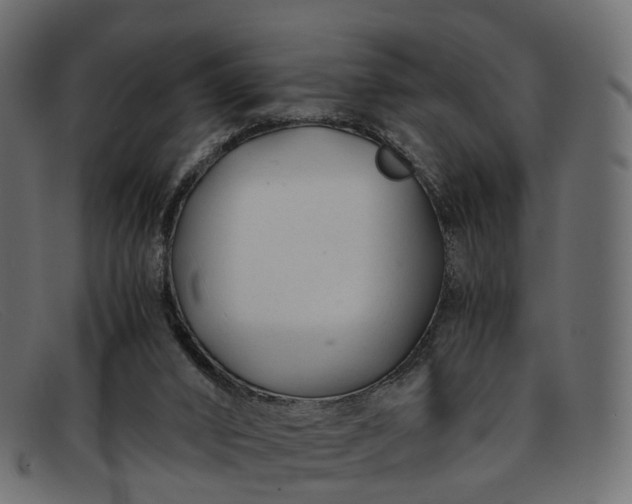 X0000091900016200709191246