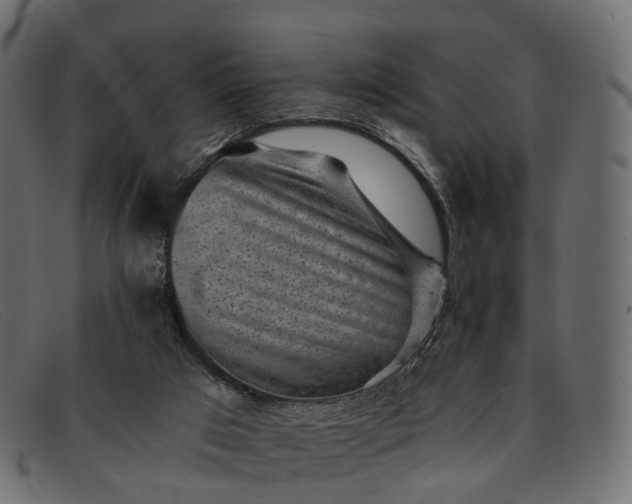 X0000091900017200709191246