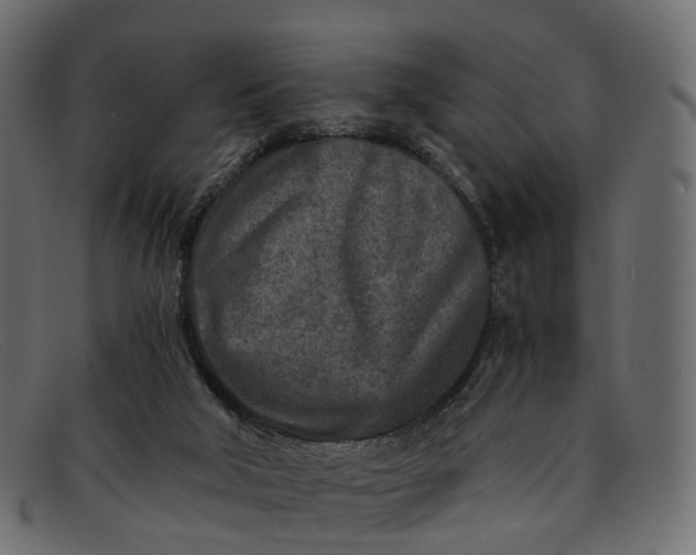 X0000091900018200709191246