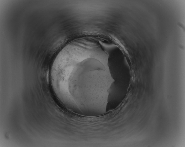 X0000091900019200709191246