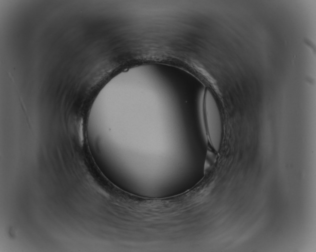 X0000091900020200709191246