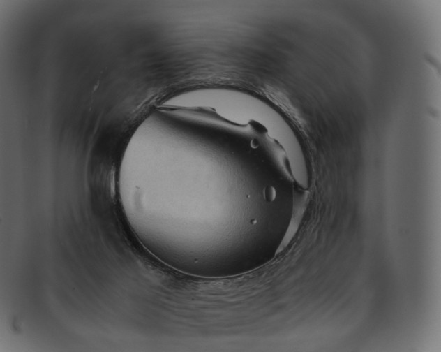 X0000091900021200709191246