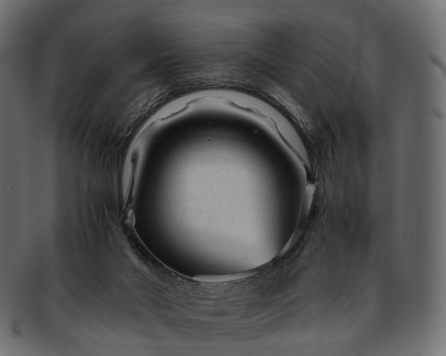 X0000091900022200709191246