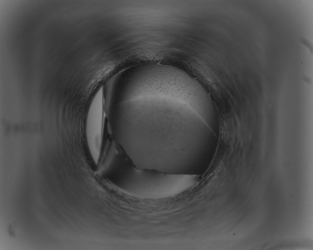 X0000091900023200709191246