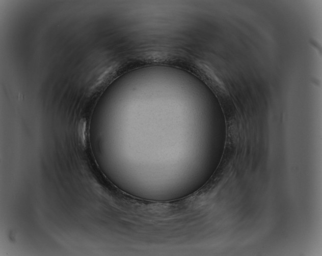 X0000091900024200709191246