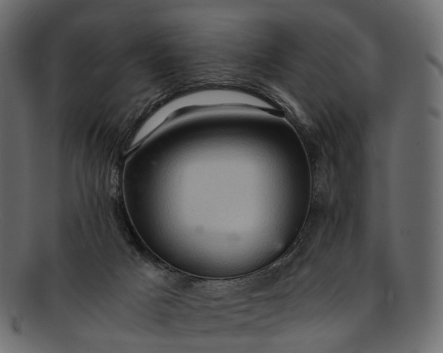 X0000091900025200709191246