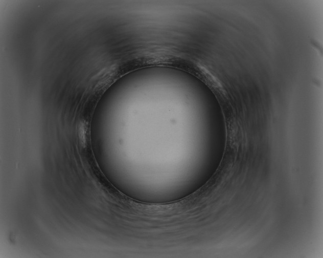 X0000091900026200709191246