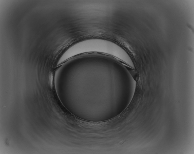 X0000091900027200709191246