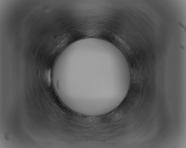 X0000091900028200709191246