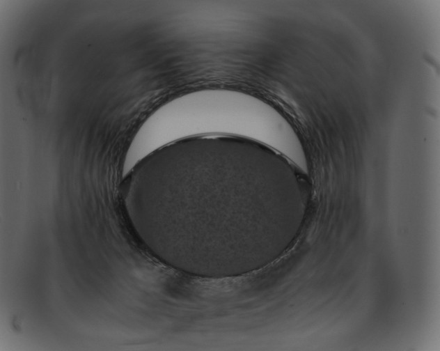 X0000091900029200709191246