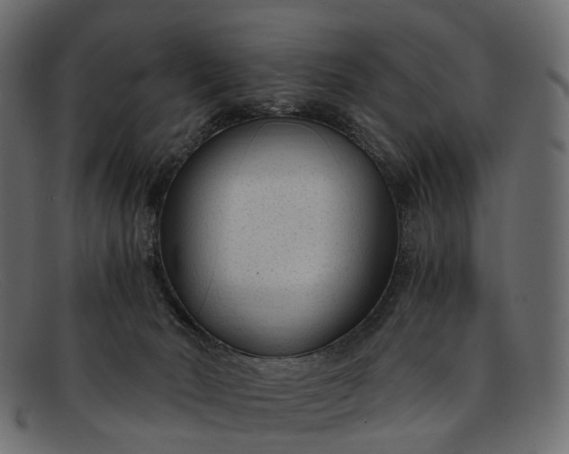 X0000091900030200709191246