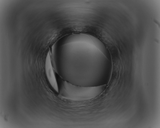 X0000091900031200709191246