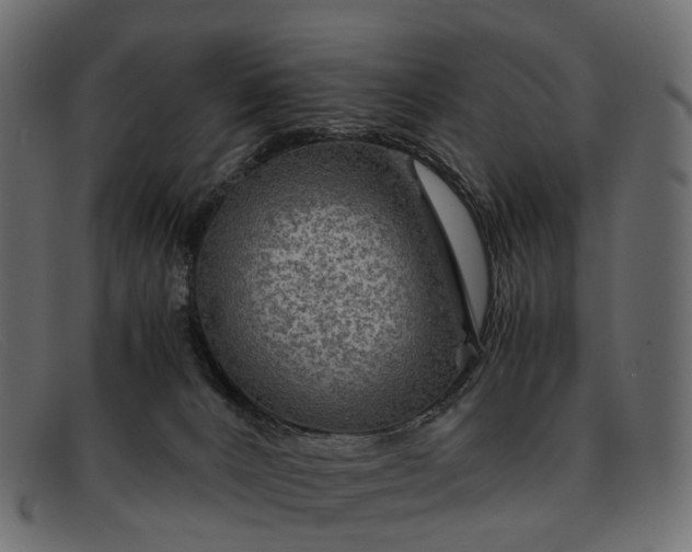 X0000091900032200709191246