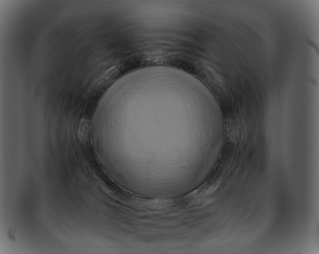 X0000091900036200709191246