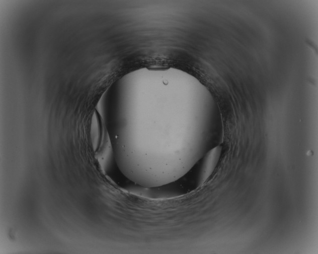 X0000091900037200709191246