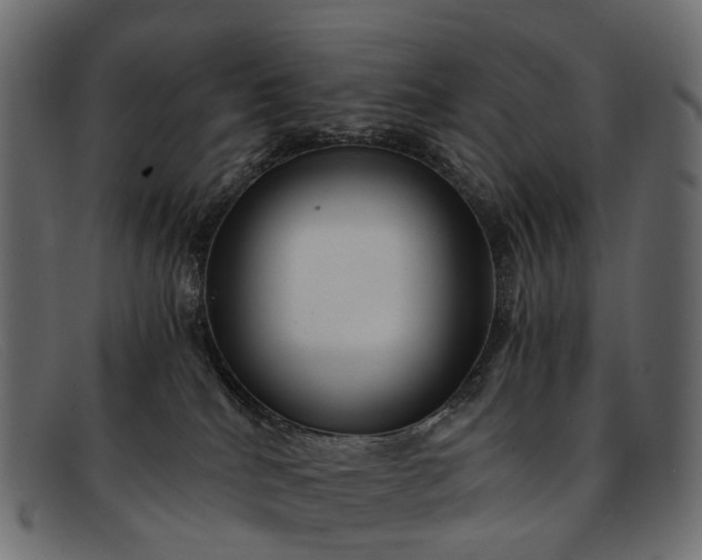 X0000091900040200709191246