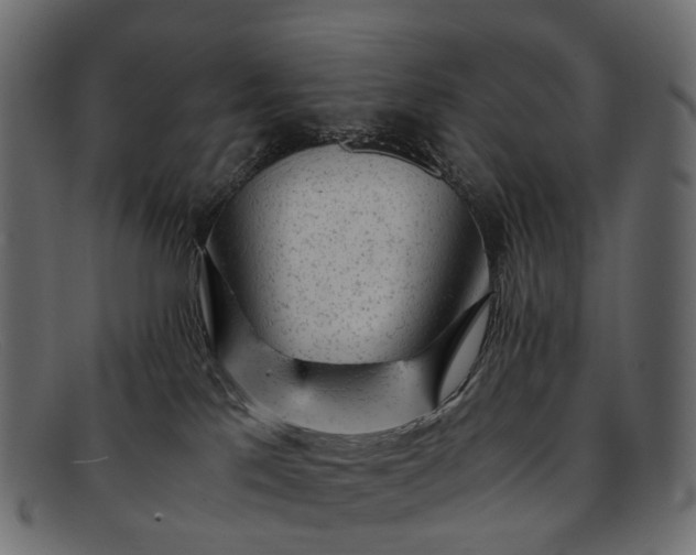 X0000091900041200709191246